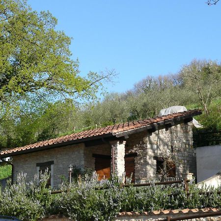 Complesso Agrituristico La Ciriola Villa Piediluco Eksteriør billede